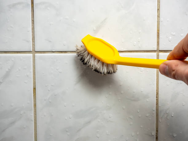 Best Commercial Mold Removal  in Dolan Springs, AZ