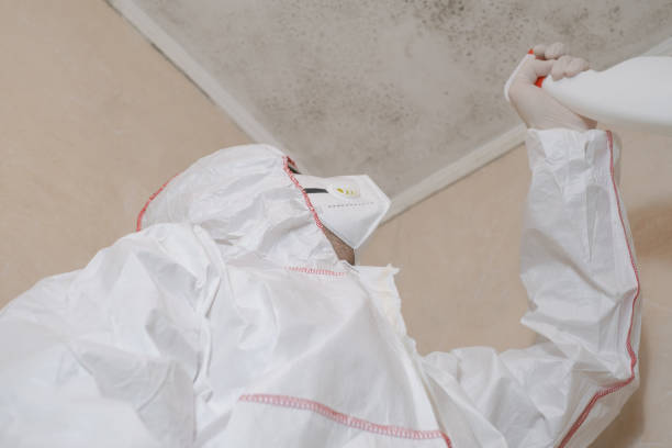 Crawl Space Mold Removal in Dolan Springs, AZ